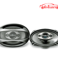 Loa Pioneer TS A6983R