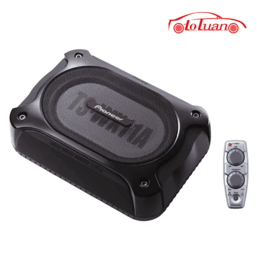 Loa subwoofer Pioneer TS WX11A