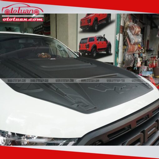 Ốp nắp capo tê giác FITT