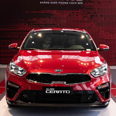 Cerato