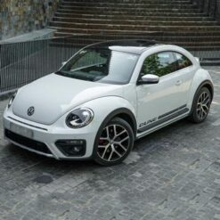 Beetle Dune
