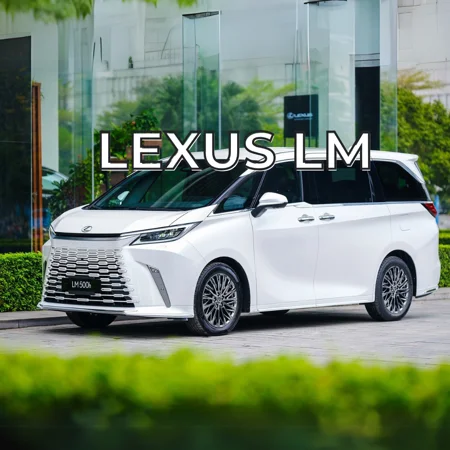LM