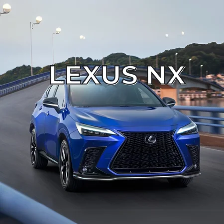 NX