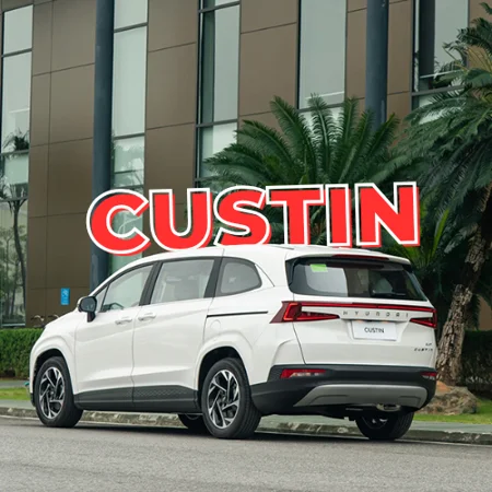 Custin