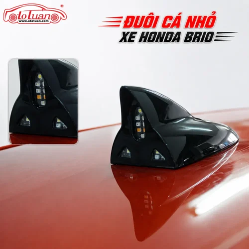 Đuôi cá nhỏ xe Honda Brio