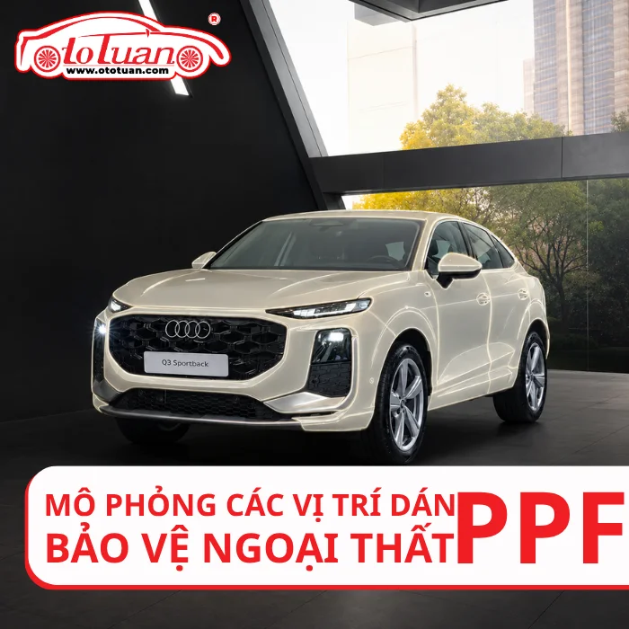 Mô phỏng vị trí dán PPF bảo vệ ngoại thất