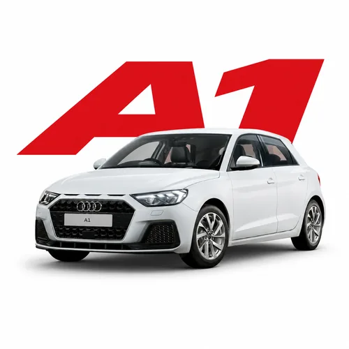 A1