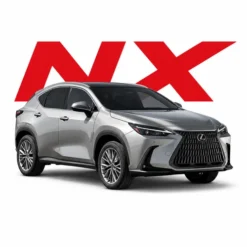 NX