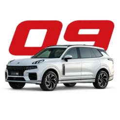 09
