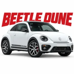 Beetle Dune