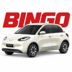 Bingo