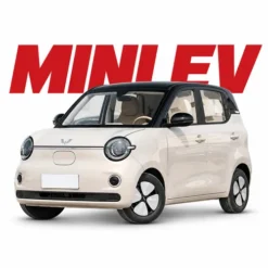 Mini EV